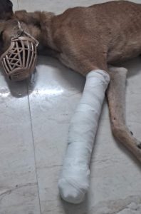 WhatsApp Image 2025-10-13 at 10.01.31 AM