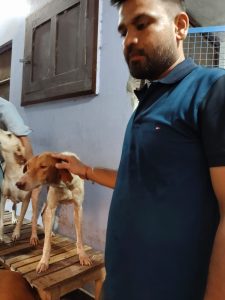 WhatsApp Image 2025-10-13 at 9.34.25 AM