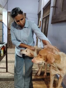 WhatsApp Image 2025-10-13 at 9.38.36 AM