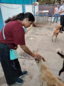 WhatsApp Image 2025-10-13 at 9.38.48 AM