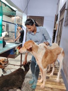 WhatsApp Image 2025-10-13 at 9.39.34 AM