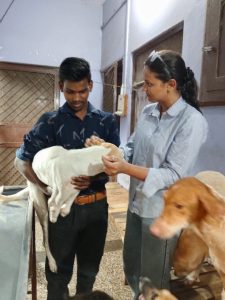 WhatsApp Image 2025-10-13 at 9.39.36 AM