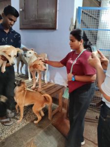 WhatsApp Image 2025-10-13 at 9.39.37 AM