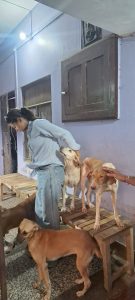 WhatsApp Image 2025-10-13 at 9.39.39 AM