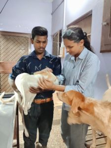 WhatsApp Image 2025-10-13 at 9.39.41 AM