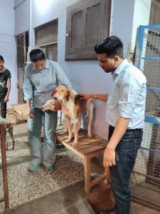 WhatsApp Image 2025-10-13 at 9.39.44 AM