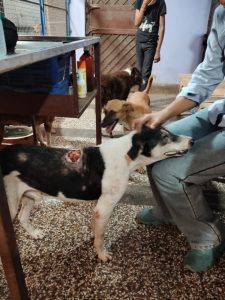 WhatsApp Image 2025-10-13 at 9.39.47 AM