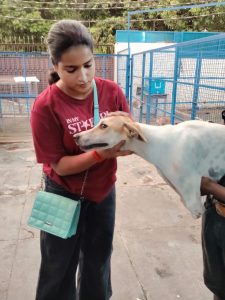 WhatsApp Image 2025-10-13 at 9.39.51 AM